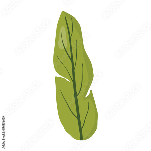 Simple green leaf illustration with a natural, elongated shape and vein details. Perfect for botanical designs, eco-themed projects, and decorative elements