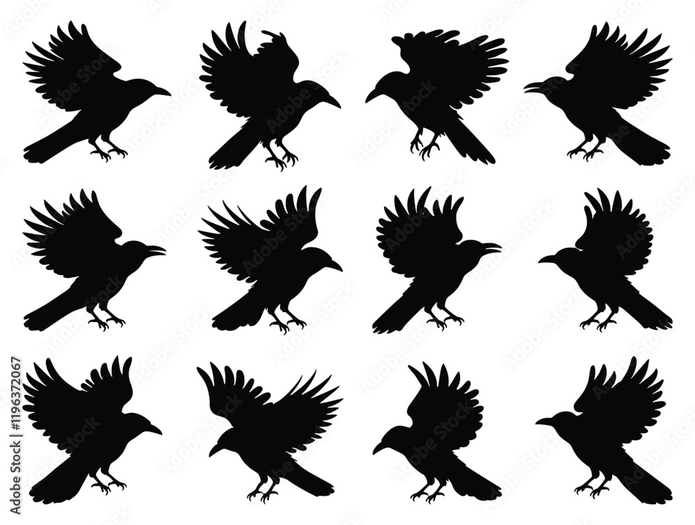 Obraz premium Silhouette of crows in flight and various positions vector illustration