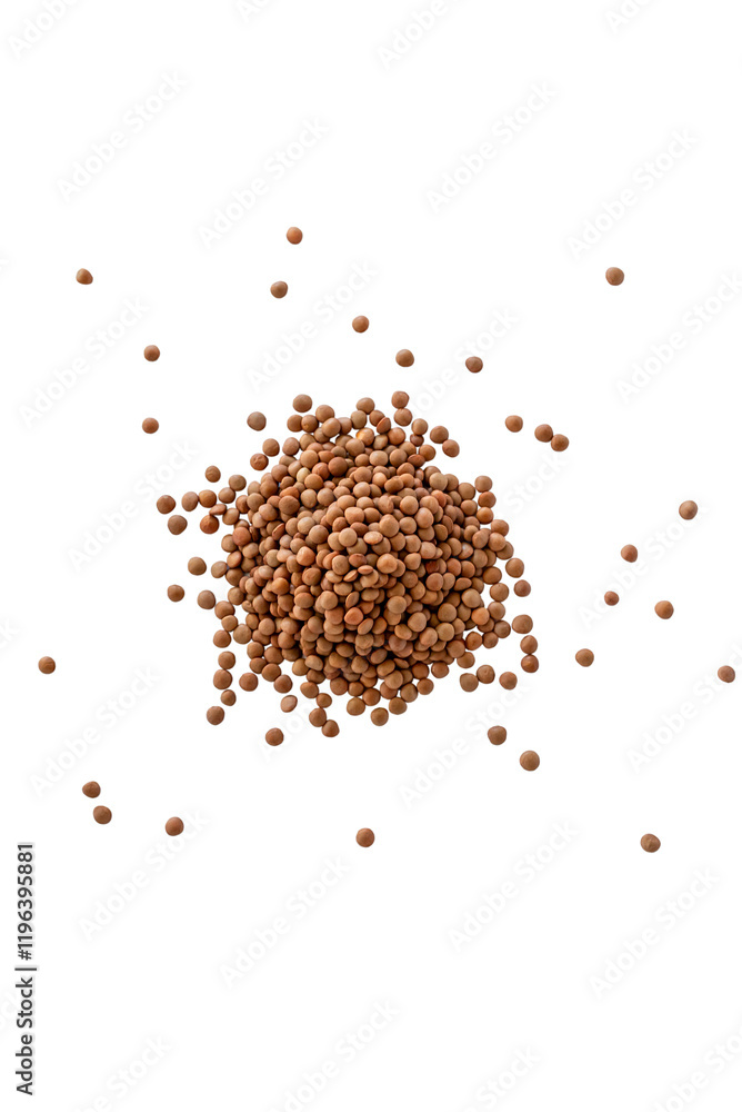 Closeup of a pile of organic uncooked lentils isolated on a transparent background without shadow from above, top view, png Closeup of a pile of organic uncooked lentils isolated on a transparent background without shadow from above, top view, png