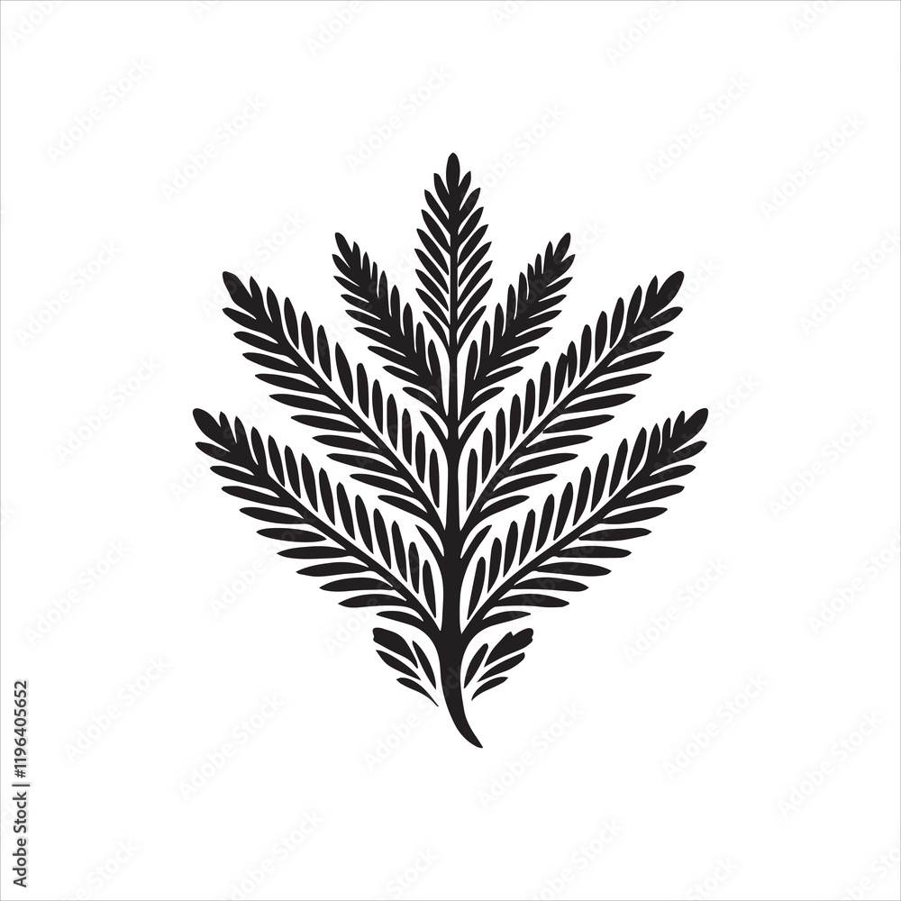 illustration of a leaf illustration of a leaf