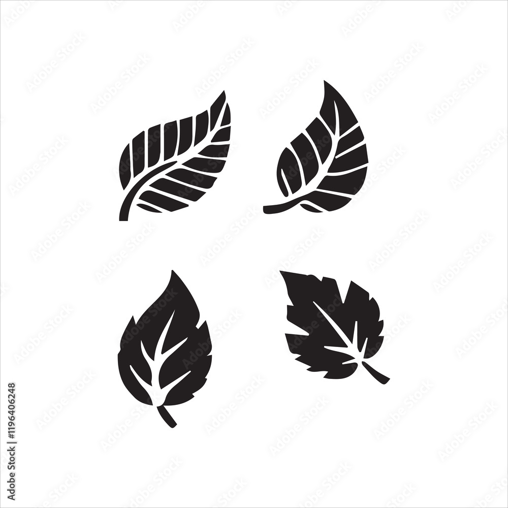 Fototapeta premium set of leaves silhouettes