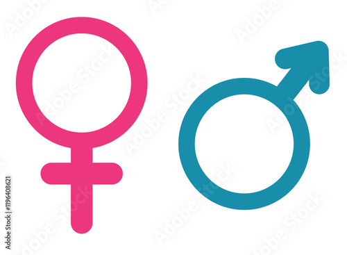 Cartoon Illustration of male and female gender sign connected to each other. Can be used for gender revel or baby shower party, sex education poster and printed on t-shirts, hoodies, tote bags