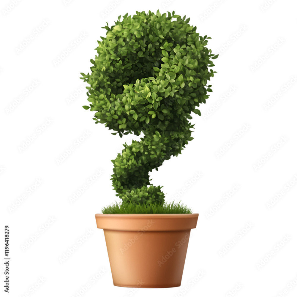 A topiary tree shaped like a spiral cone in a pot, isolated on transparent background. A topiary tree shaped like a spiral cone in a pot, isolated on transparent background.