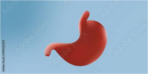 Blank human stomach 3d isolated on Blue digestion anatomy background with organ internal health body digestive biology system or medical healthy concept and empty esophagus abdomen gastric object