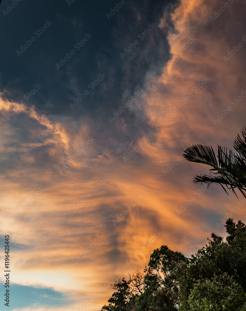 Fototapeta premium Clouds in a softly glowing sunset sky with shades of pink and gold.