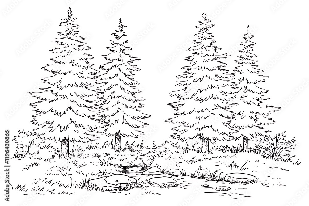 Obraz premium Hand-Drawn Ink Sketch: Trio of Pines Beside a Rocky Stream