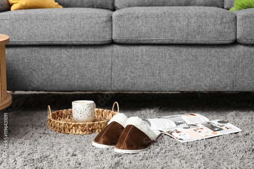 Comfortable slippers, magaz...