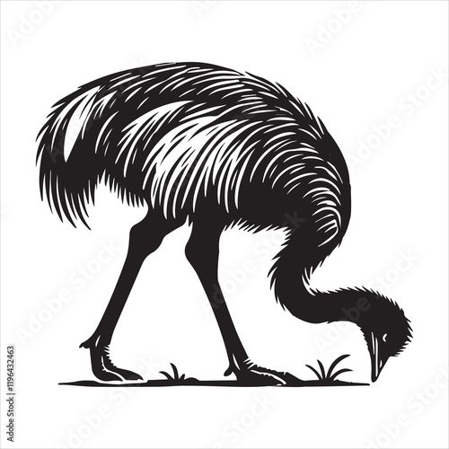 Flightless Greater Rhea Bird Vector Art for Nature Lovers
