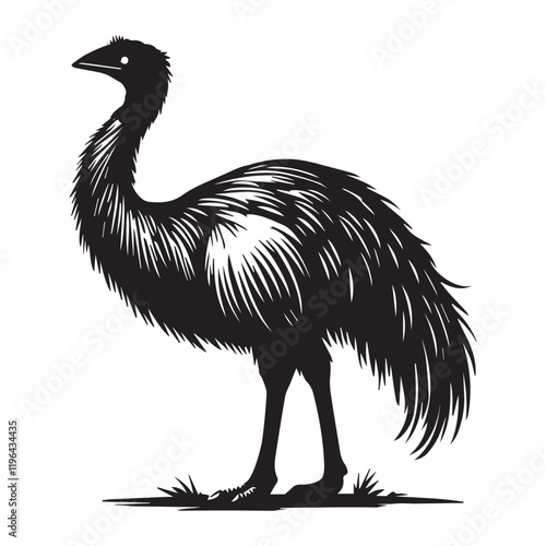 Detailed Vector Illustration of Greater Rhea Flightless Bird
