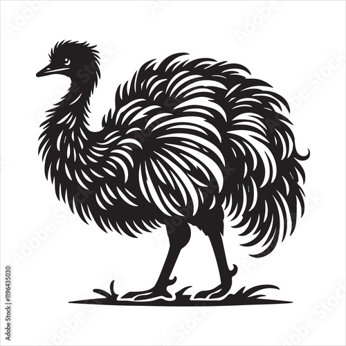 Greater Rhea Flightless Bird Vector Illustration for Educational Use
