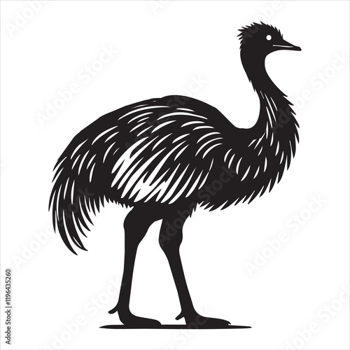 Greater Rhea Flightless Bird Vector Illustration for Educational Use
