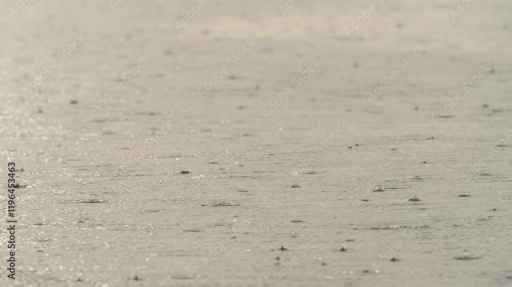 Close-up of raindrops falling in slow motion on the Negro River in the Amazon rainforest. Close-up of raindrops falling in slow motion on the Negro River in the Amazon rainforest.