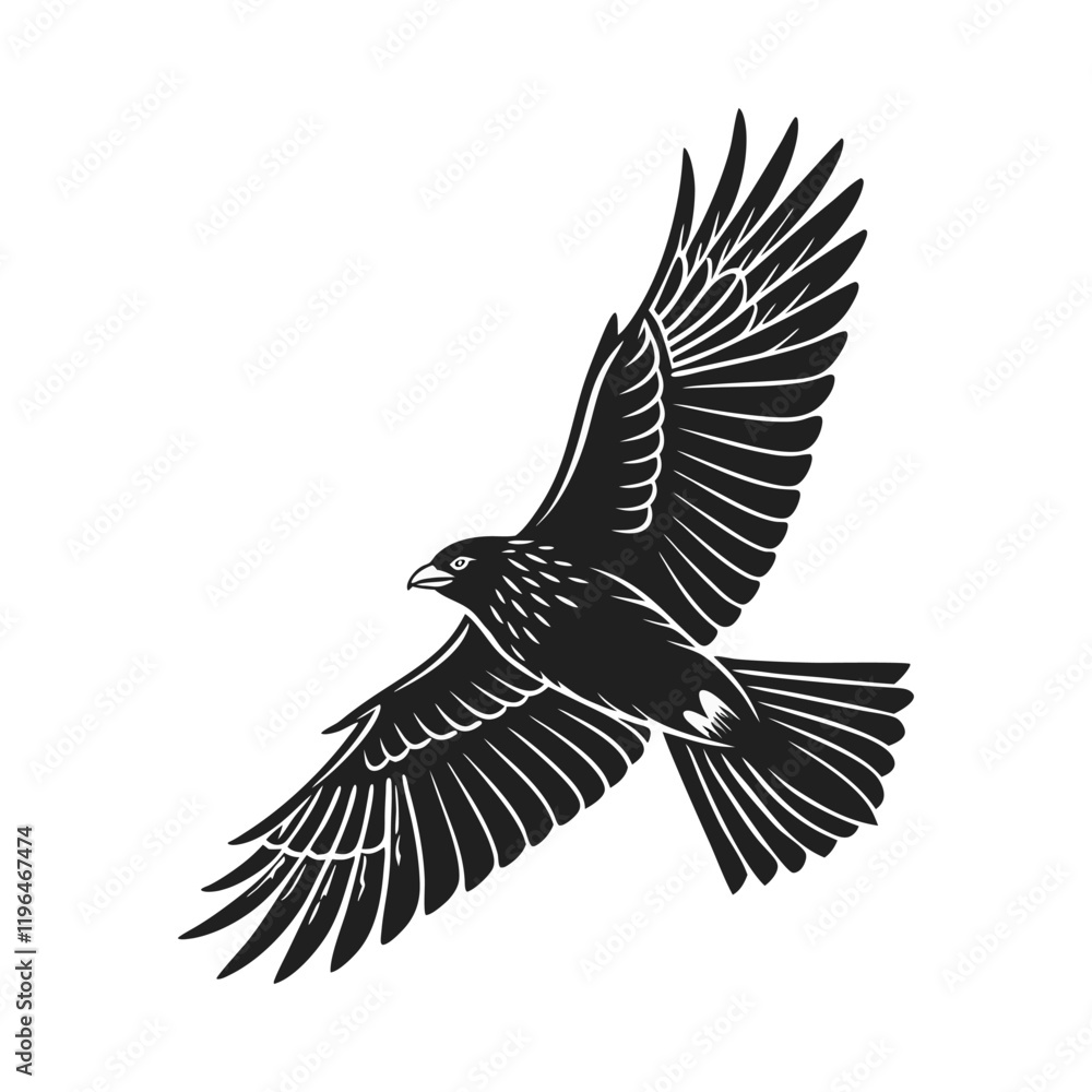 Fototapeta premium black and white vector of a raven in flight perfect for tattoo