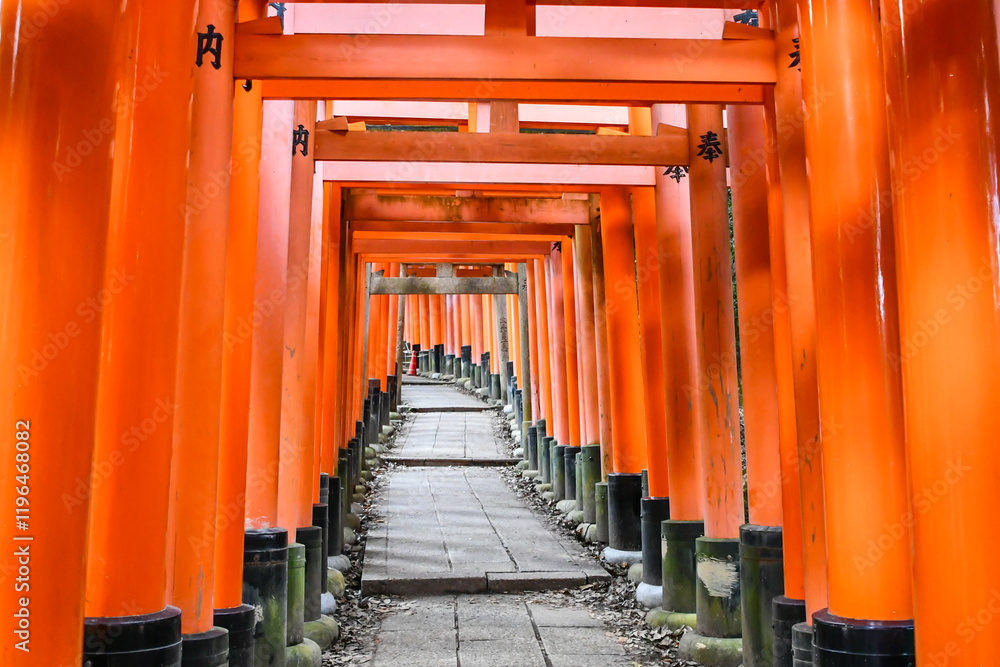 京都 伏見稲荷大社 千本鳥居