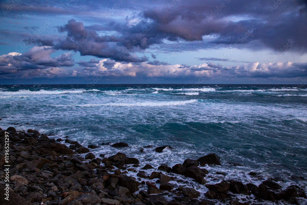 Obraz premium 奄美大島の冬の風景