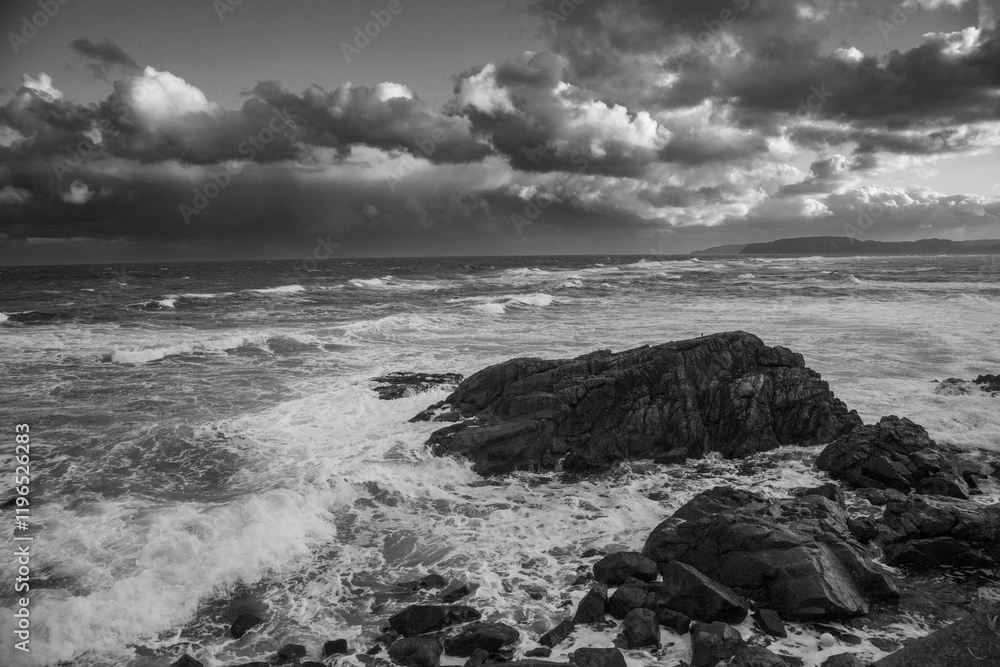 Obraz premium 奄美大島の冬の風景