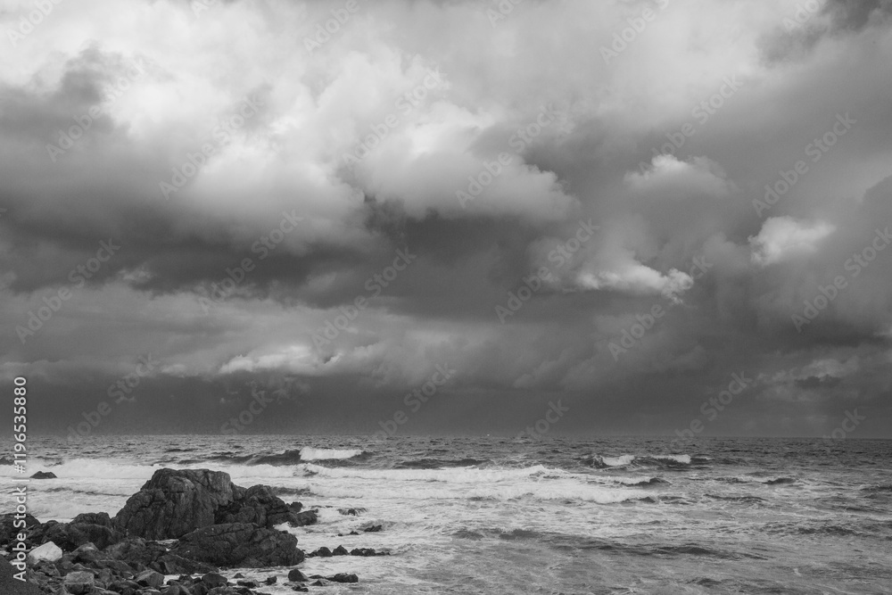 Obraz premium 奄美大島の冬の風景