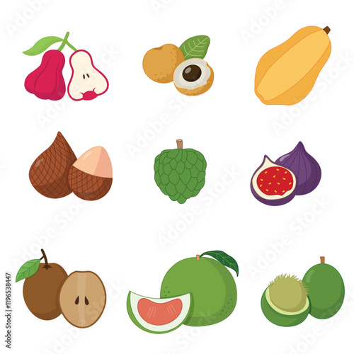 Tropical fruits - collection - illustration