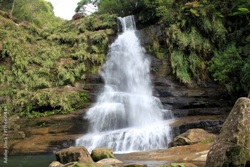 Obraz premium ジャングルトレッキング