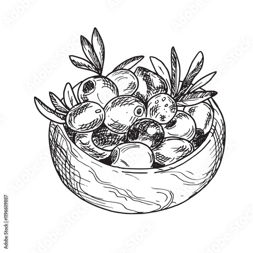 Olives and olive branches in wooden bowl from side view isolated on background. Hand drawn Ink Sketch, Botanical illustration in outline style. Can be used for menu, product package and food design