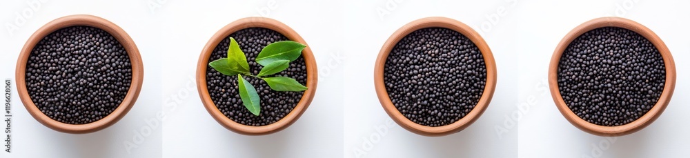 Four terracotta pots, three filled with dark seeds, one with a sprout. Four terracotta pots, three filled with dark seeds, one with a sprout.