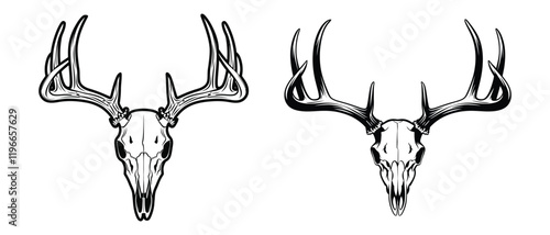  Beautiful Deer Skull Vector with antlers white background
