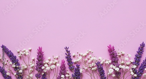 Lavender Baby s Breath Purple Flowers Pink Background Floral Border Spring Summer Botanical Nature