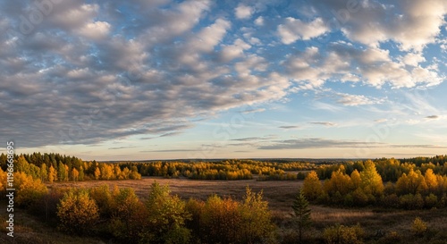 Autumn Landscape Golden Forest Cloudy Sky Sunset Panorama