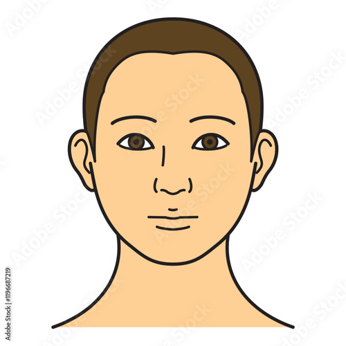 顔　生え際　正面　カラー