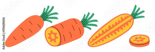 Flat style illustration of carrots showing whole, halved, and cross-section views, ideal for healthy eating, cooking projects, and vegetable-inspired designs.