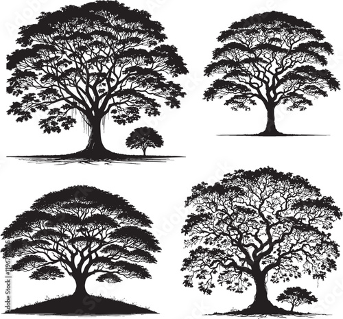 Vector Silhouettes of the Rain Tree Isolated on a White Background"