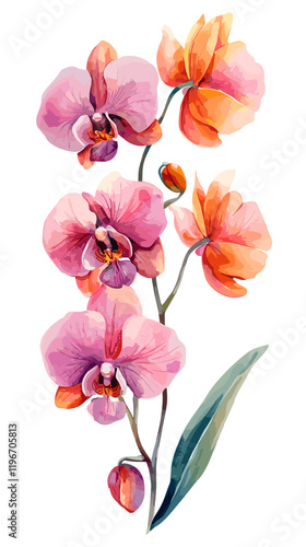 Orchid Flowers Watercolor isolated on white background. Beautiful flower decorative vector illustration