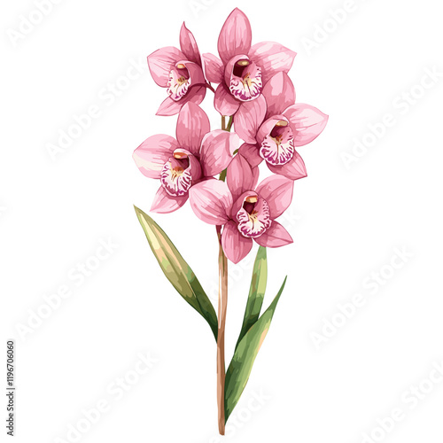 Orchid Flowers Watercolor isolated on white background. Beautiful flower decorative vector illustration