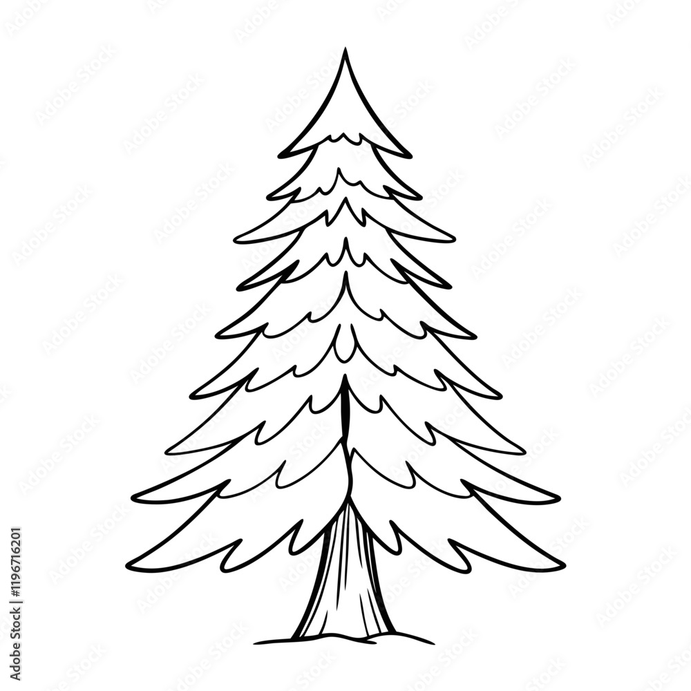 Obraz premium Pine tree
