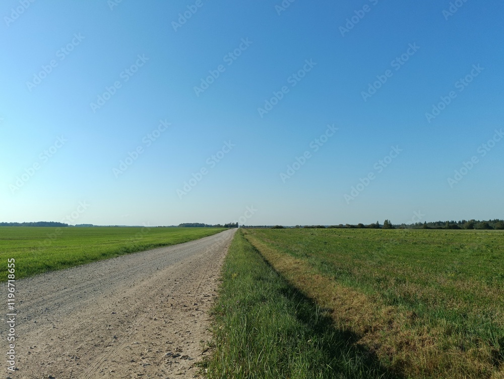 Field in somewhere. Countryside. Open field. Summertime. Unusual. Field in somewhere. Countryside. Open field. Summertime. Unusual.
