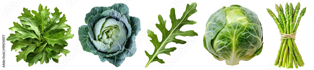 Obraz premium PNG Fresh leafy greens assortment, element set on transparent background