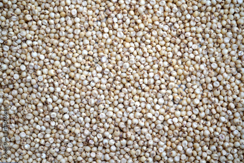 Konstfotografi Sorghum grains seeds, grains background texture.