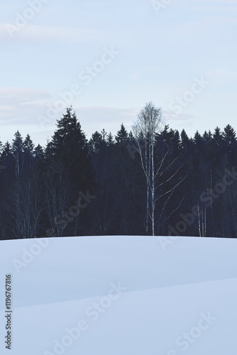 Photography from the landscape along former Skreiabanen Railroad between Lena and Kolbu, Toten, Norway, a day of January 2025. photo