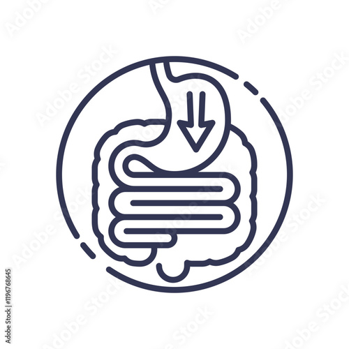 Line art of stomach and intestines symbolizing digestion and gut health.