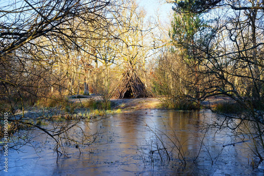 fairy pond in winter season. fontainebleau forest fairy pond in winter season. fontainebleau forest