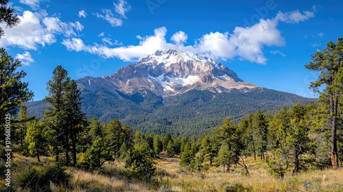 Snow-capped mountain peak rises above a lush green pine forest under a bright blue sky with white clouds.
