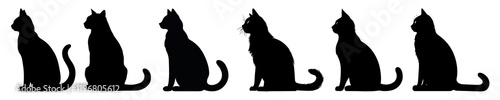 PNG Silhouette cats sitting row, element set on transparent background photo