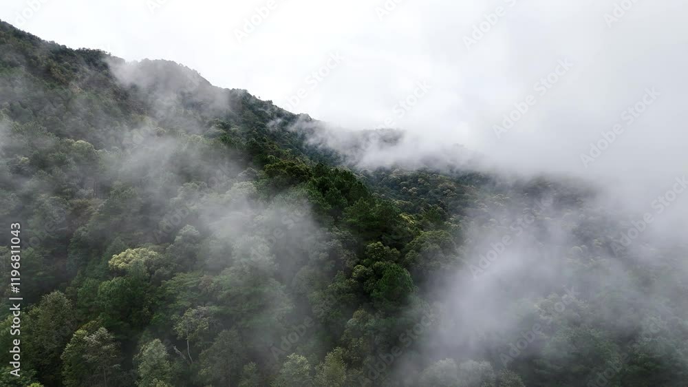 Aerial view from drone with foggy mountain view. Aerial view from drone with foggy mountain view.