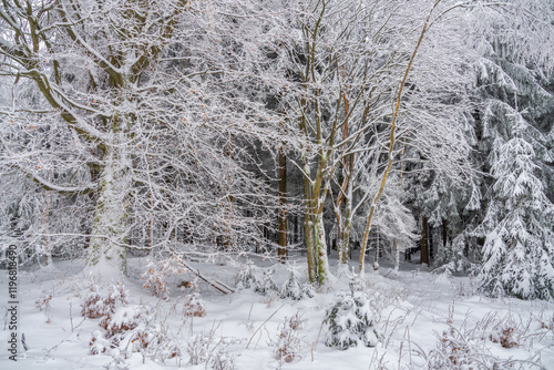 Bild auf Leinwand In hibernation - im Winterschlaf