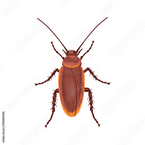 Red cockroach insect. Realistic Red cockroach  on white background. Top view. Vector.