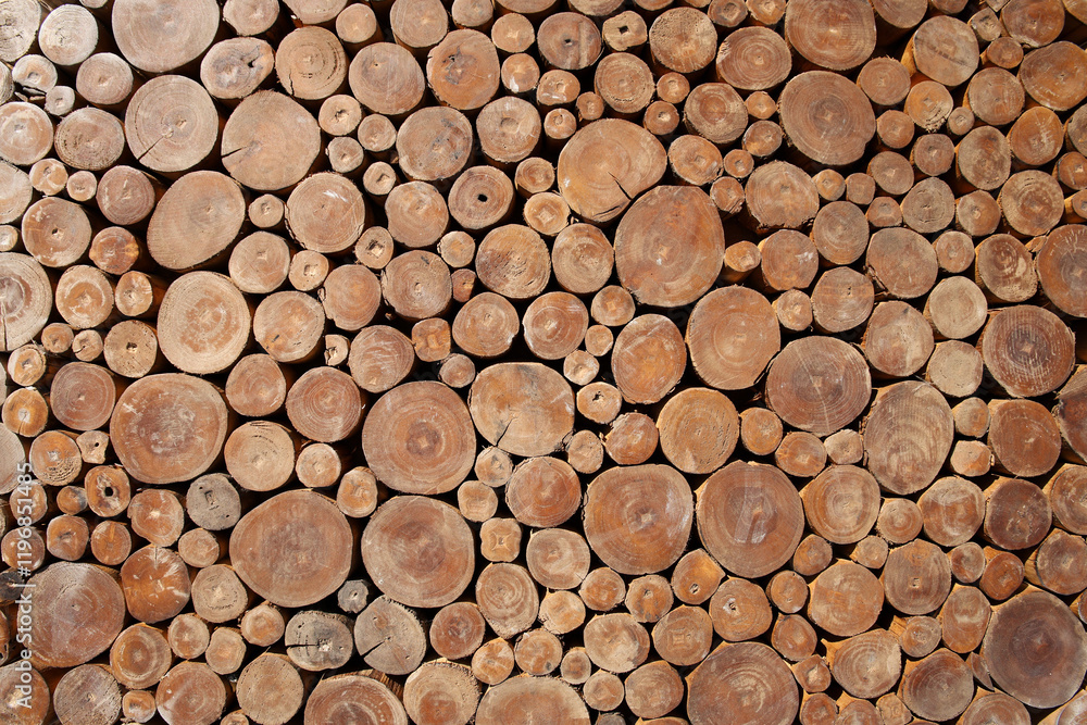 pile of naturial log round teak wood tree stump texture background pattern use for interior wall decoration pile of naturial log round teak wood tree stump texture background pattern use for interior wall decoration
