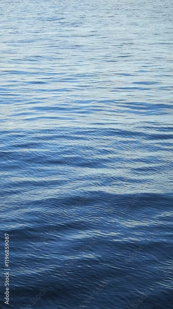 The serene blue water gracefully shimmers with gentle ripples beneath the bright, clear sky The serene blue water gracefully shimmers with gentle ripples beneath the bright, clear sky