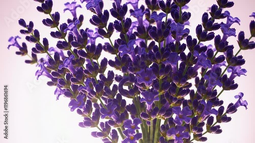 Close-up of a lavender bouquet with vibrant purple flowers against a soft pastel background.