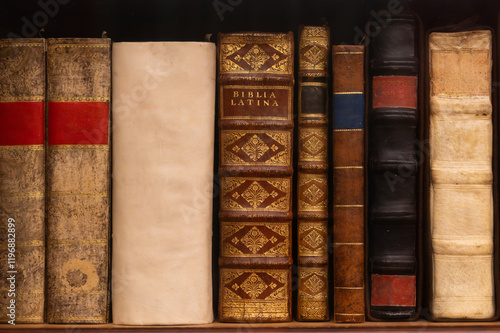 Row of vintage books with ornate bindings and titles photo