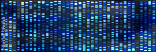 Genetic chromosome pattern with dna sequence map on background. X and y gene big data visualization illustration. Antibody research and analytics wallpaper. Human marker medicine forensic design.